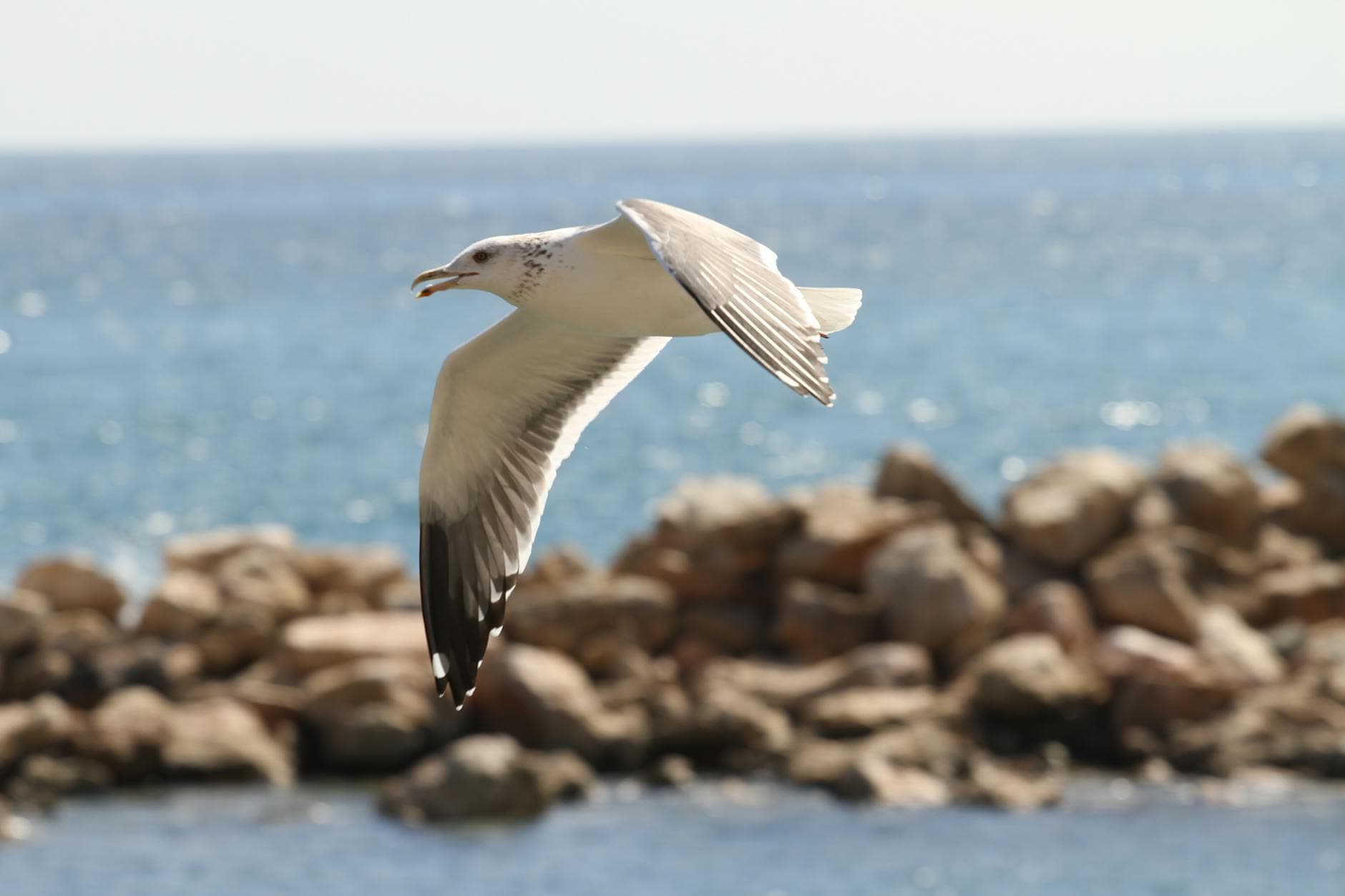 Yemen Seyahati İçin En İyi Zaman: İklim ve Hava Durumu